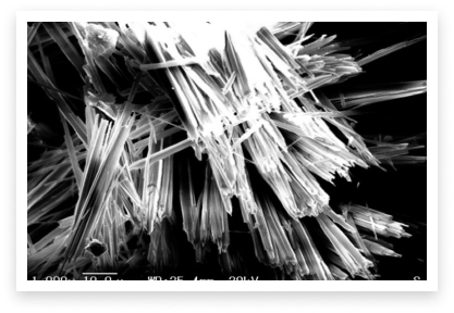 technology_01.png