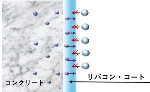 livacontec-livaconcoat_01.png